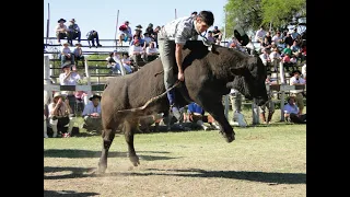 Jinetadas de toros  Federal Entre Ríos (la mejor fiesta de toros del país )#carlosespindola