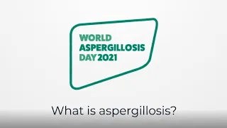 What is aspergillosis - Quick explainer