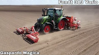 Sijanje Kukuruza 2022 ! Fendt 313 & Gaspardo Magica