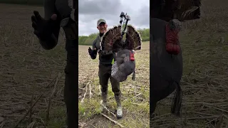 BEST Turkey Reaping Setup Ever Made!? 😳 #turkey #hunting #diy #bowmarchery