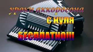 Как научиться играть на аккордеоне с нуля #1