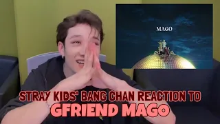 Stray Kids Bang Chan Reacting to GFRIEND's "MAGO"