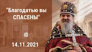 Проповедь о. Андрея Лемешонка 14 ноября 2021 г.