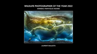 Laurent Ballesta - Wildlife Photographer of the Year 2022, Portfolio Award Winner