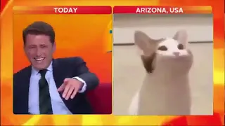 Reporter laughs at Cat