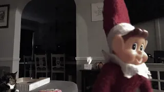 My elf on the Shelf cart dancing on￼