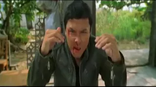 Heroes of Martial Arts - donnie yen (Flash Point)