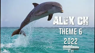 Alex Ch  - Theme 6 2022