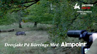 Drevjakt På Börringe Med Aimpoint