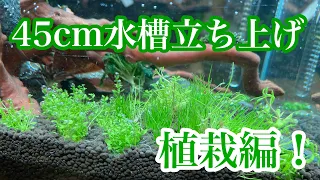 45cm水槽立ち上げ動画・水草植栽編！