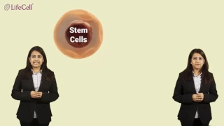 Stem Cells and Applications