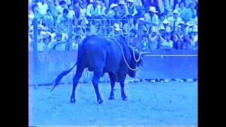 Films Hernandez Jaripeos De Historia La Luz Texas Gto 10-Jun-1990 Indio Juarez Vs El Destructor