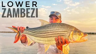 River Monsters of the Lower Zambezi! (Tigerfish, Vundu, Chessa, Nkupe and Bottlenose) episode 2