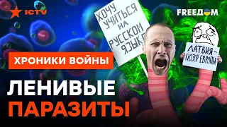 Наглость — второе СЧАСТЬЕ! Латвия ВЫГОНЯЕТ РОССИЯН: такого НЕ ОЖИДАЛ НИКТО @skalpel_ictv