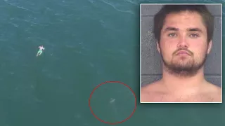 Suspect Fleeing Police Jumps Into Ocean And Swims Dangerously Close to a Shark