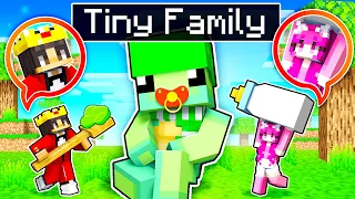 Adopted by TINY FAMILY in MINECRAFT!