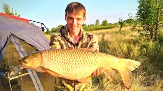 На Ахтубу за амуром и сазаном! Огромный амур порвал леску.