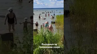 пляж на Плещеевом озере август 2023 #fun #пляж #переславль