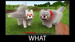 Minecraft wait what meme part 164 realistic minecraft wolf and dog