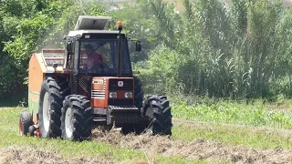 PRESSATURA FIENO | 1° TAGLIO | FIATAGRI 100-90 DT + ROTOPRESSA GALLIGNANI  9150 | TEAM D'IGNAZIO