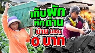 Maprang picks vegetables and breaks charcoal for her life and her family with 0 baht salary.