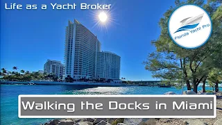 Day in the Life as a Yacht Broker: Walking the Docks at Haulover Marine, in Miami Beach, FL.