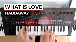 Haddaway - What Is Love (Roland JD-Xi)