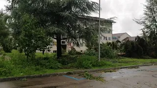 13. Juli 2021: Heftigste Unwetterschäden nach Gewittersturm in der Stadt Zürich