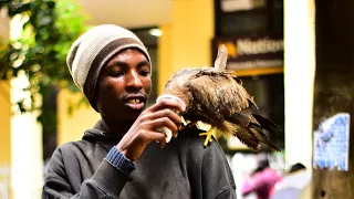 watch the supeheroic story of the nakuru street boy and his magical bird (Johnson the hawk)