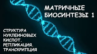 МАТРИЧНЫЕ БИОСИНТЕЗЫ 1: СТРОЕНИЕ ДНК И РНК. РЕПЛИКАЦИЯ. ТРАНСКРИПЦИЯ