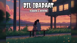 Dil Ibadaat (Slowed & Reverb) | Pritam, kk | Tum Mile | Swar Squad