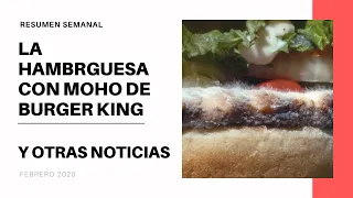 Burger King llena de moho una hamburguesa y otras noticias en Marketing Digital.