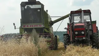 ☆ ŻNIWA 2019 na Mazurach ☆ Claas Mercator 50 & Zetor 8045 || MafiaBukwałd Team ||