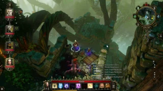 Divinity Original Sin EE: Phantom Forest