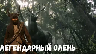 Легендарный олень Быстрая тень | Red Dead Redemption 2