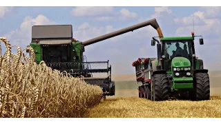 Żniwa na większą skale! || John Deere || Claas || Fendt || Lubelskie ||