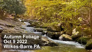 Autumn Hike: Seven Tubs + Audubon Trail in Wilkes-Barre PA!
