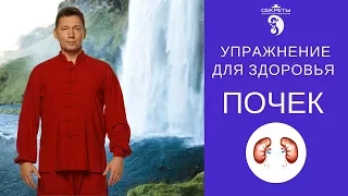 Упражнение для здоровья почек (бесплатный урок)