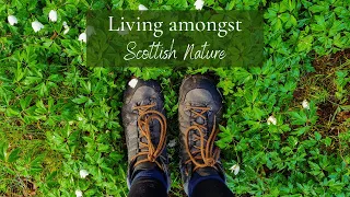 Living amongst Scottish nature - a spring vlog