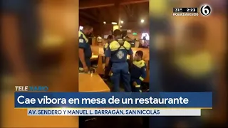 Cae víbora en la mesa de un restaurante en San Nicolás
