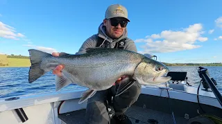 Fly Fishing For Giant Trout