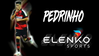 PEDRINHO - WINGER - OESTE BARUERI - SP