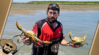 Mad Mullet: mud flats mud crabs (With his bare hands!)