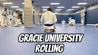 Blue Belt v. Blue Belt | Gracie BJJ Rolling