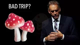 Jordan Peterson: Psychedelics and meeting the Shadow