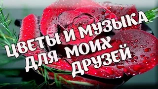 Цветы и красивая музыка для моих друзей.