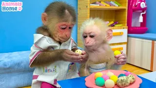 Chef BiBi harvests eggs to make food for baby monkey Obi