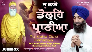 Tu Kahe Dole Praniya (Nonstop Jukebox) - Bhai Kanwaldeep Singh Ji - New Shabad Gurbani Kirtan 2024