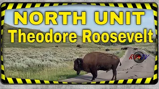 Theodore Roosevelt North Unit National Park Buffalo
