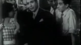 Golondrinas- Carlos Gardel